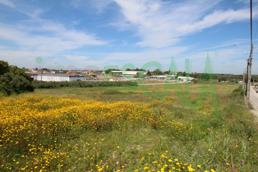 Terreno para Venda em Vila Chã de Ourique Foto 10