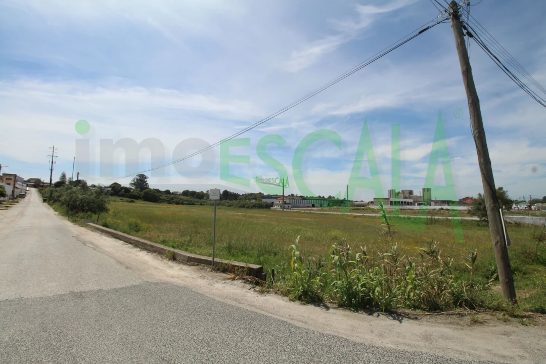 Terreno para Venda em Vila Chã de Ourique Foto 19