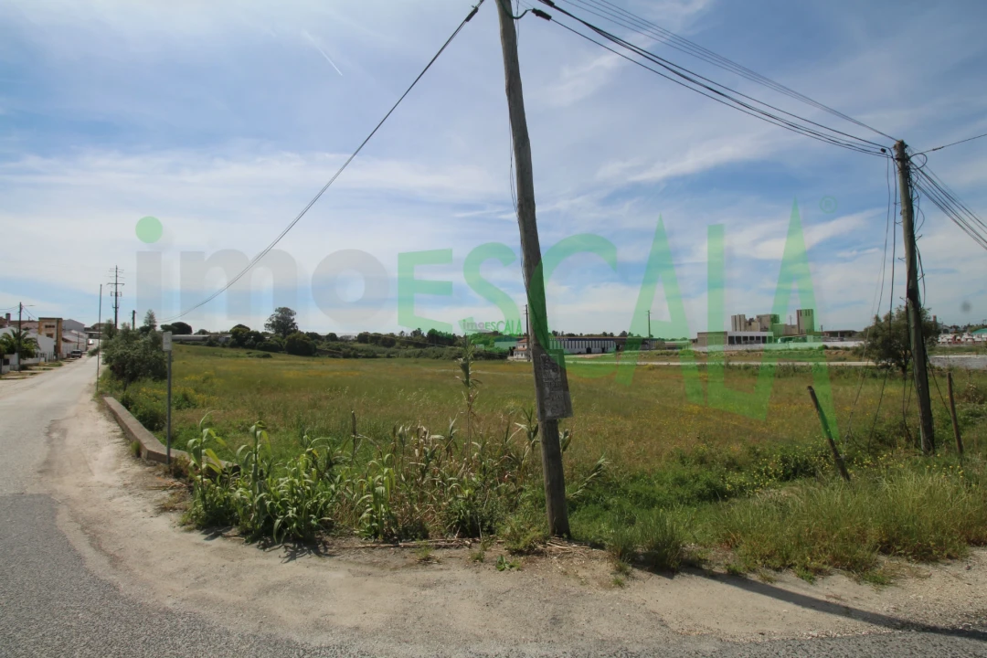 Terreno para Venda em Vila Chã de Ourique Foto 11