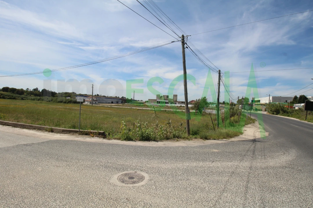 Terreno para Venda em Vila Chã de Ourique Foto 13