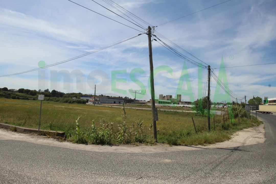 Terreno para Venda em Vila Chã de Ourique Foto 4