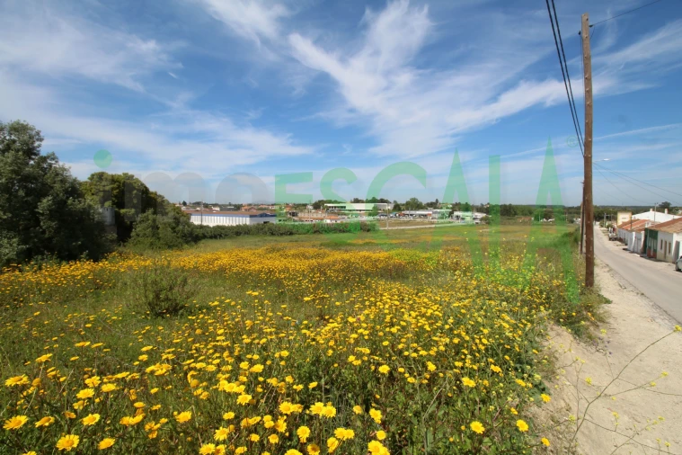 Terreno para Venda em Vila Chã de Ourique Foto 32