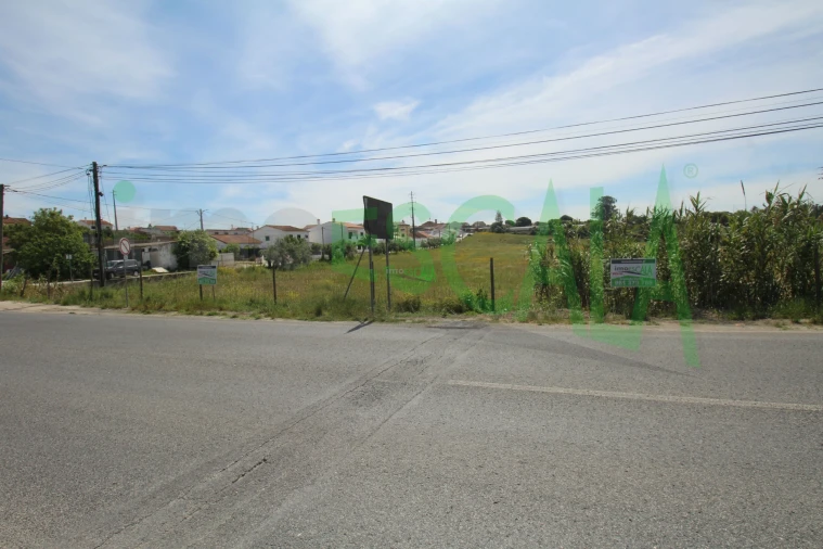 Terreno para Venda em Vila Chã de Ourique Foto 5