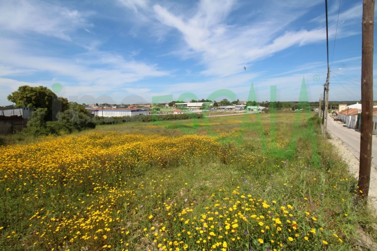 Terreno para Venda em Vila Chã de Ourique Foto 26