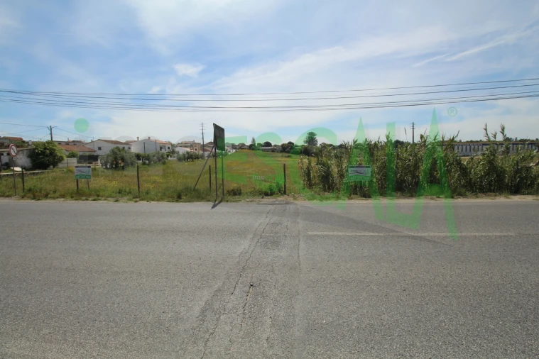 Terreno para Venda em Vila Chã de Ourique Foto 28