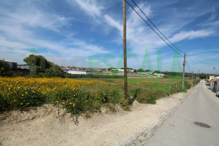 Terreno para Venda em Vila Chã de Ourique Foto 12