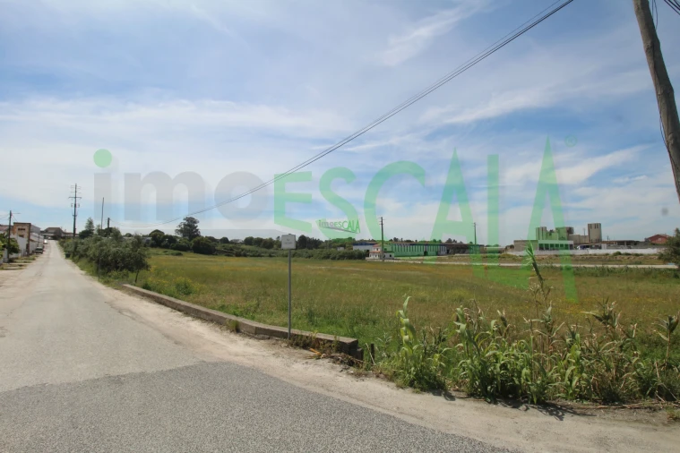 Terreno para Venda em Vila Chã de Ourique Foto 18