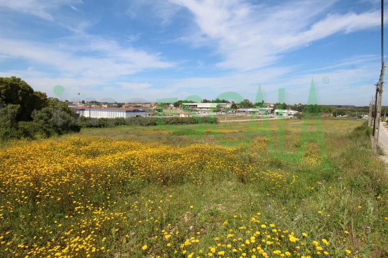 Terreno para Venda em Vila Chã de Ourique Foto 9