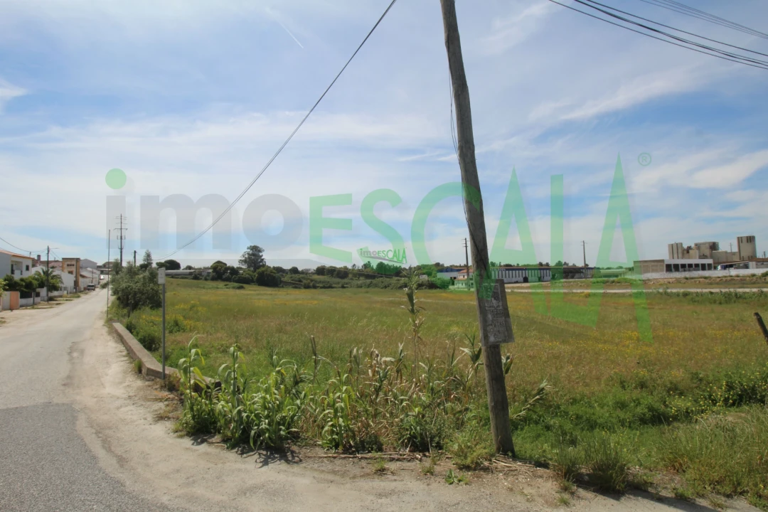 Terreno para Venda em Vila Chã de Ourique Foto 1