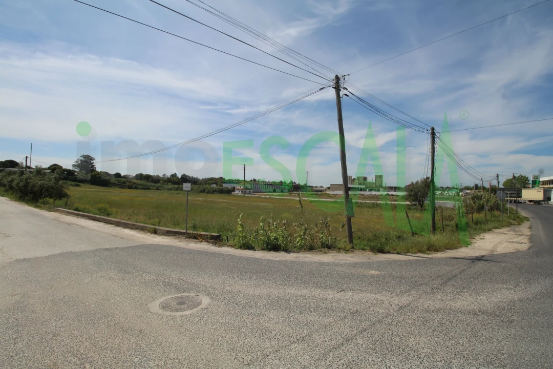 Terreno para Venda em Vila Chã de Ourique Foto 14