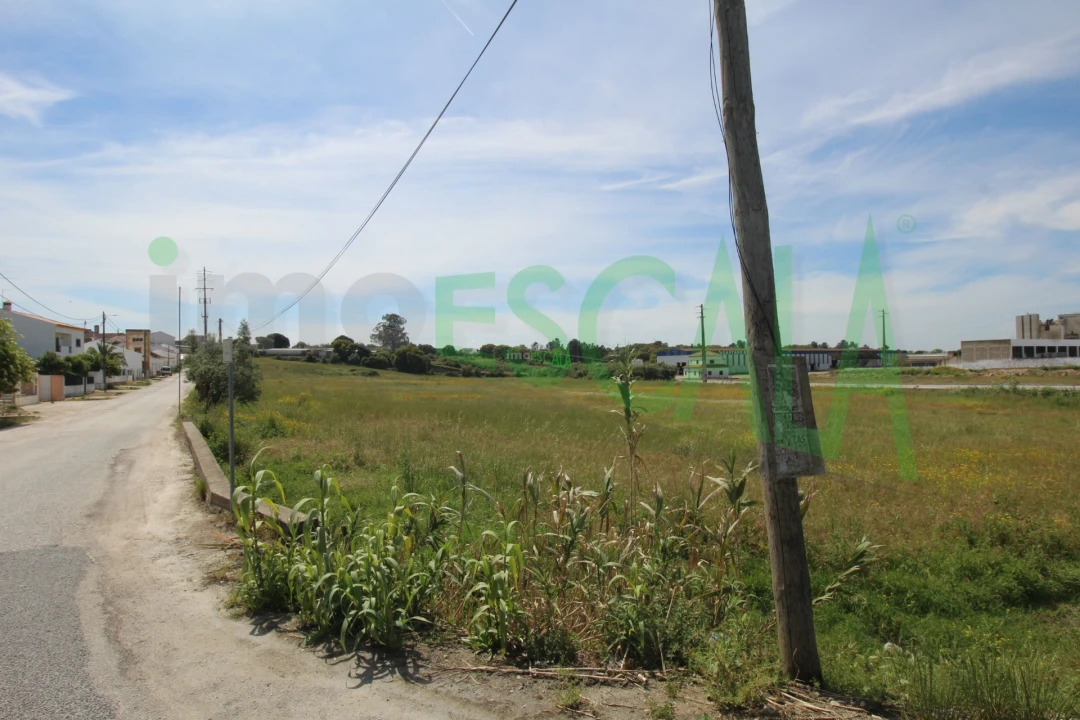 Terreno para Venda em Vila Chã de Ourique Foto 15