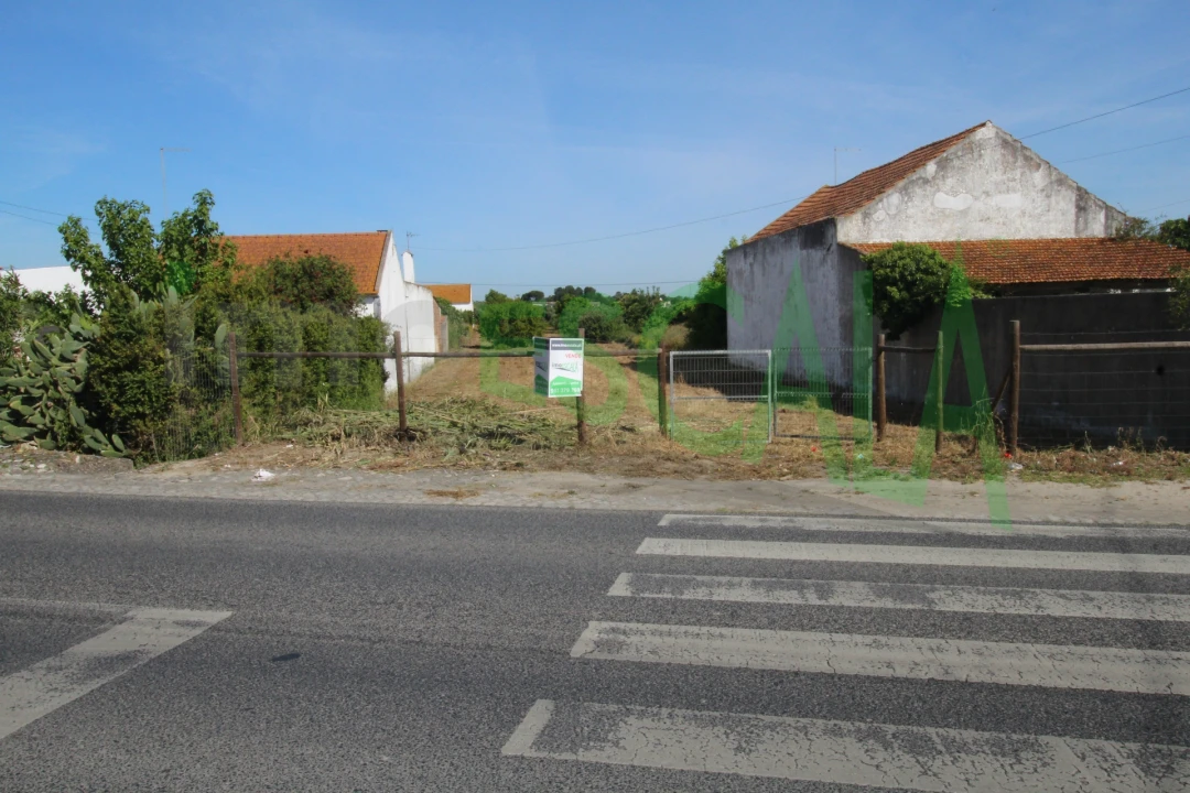 Terreno para Venda em Vila Chã de Ourique Foto 12