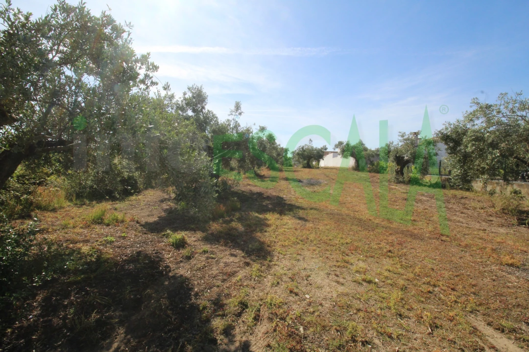 Terreno para Venda em Vila Chã de Ourique Foto 28