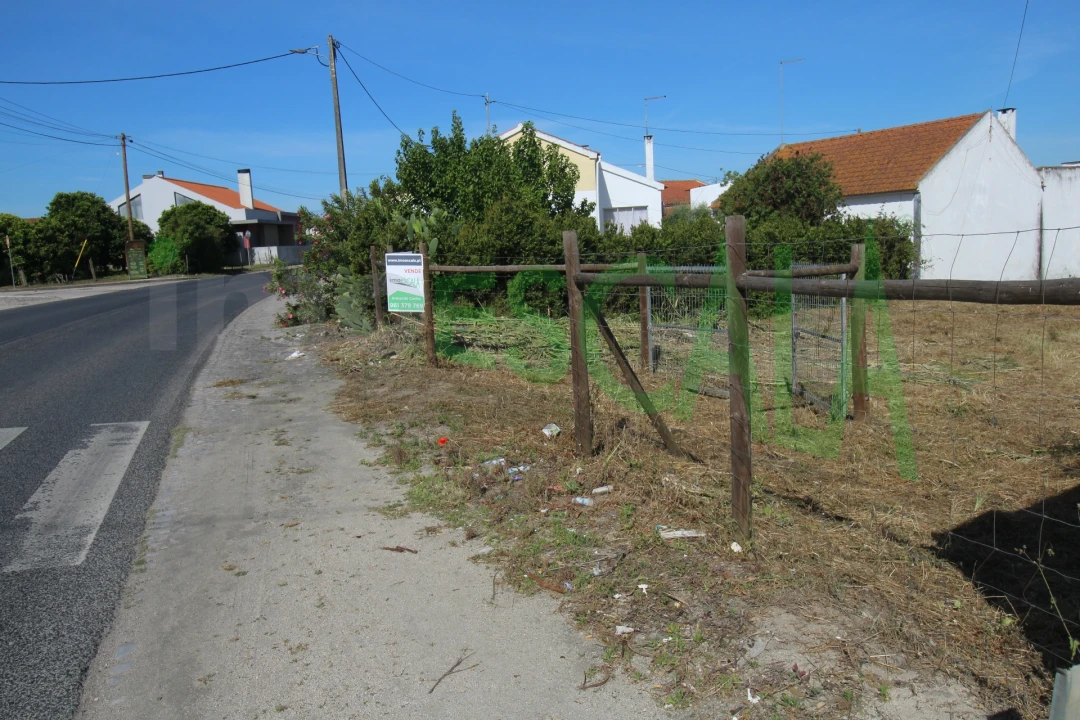 Terreno para Venda em Vila Chã de Ourique Foto 4