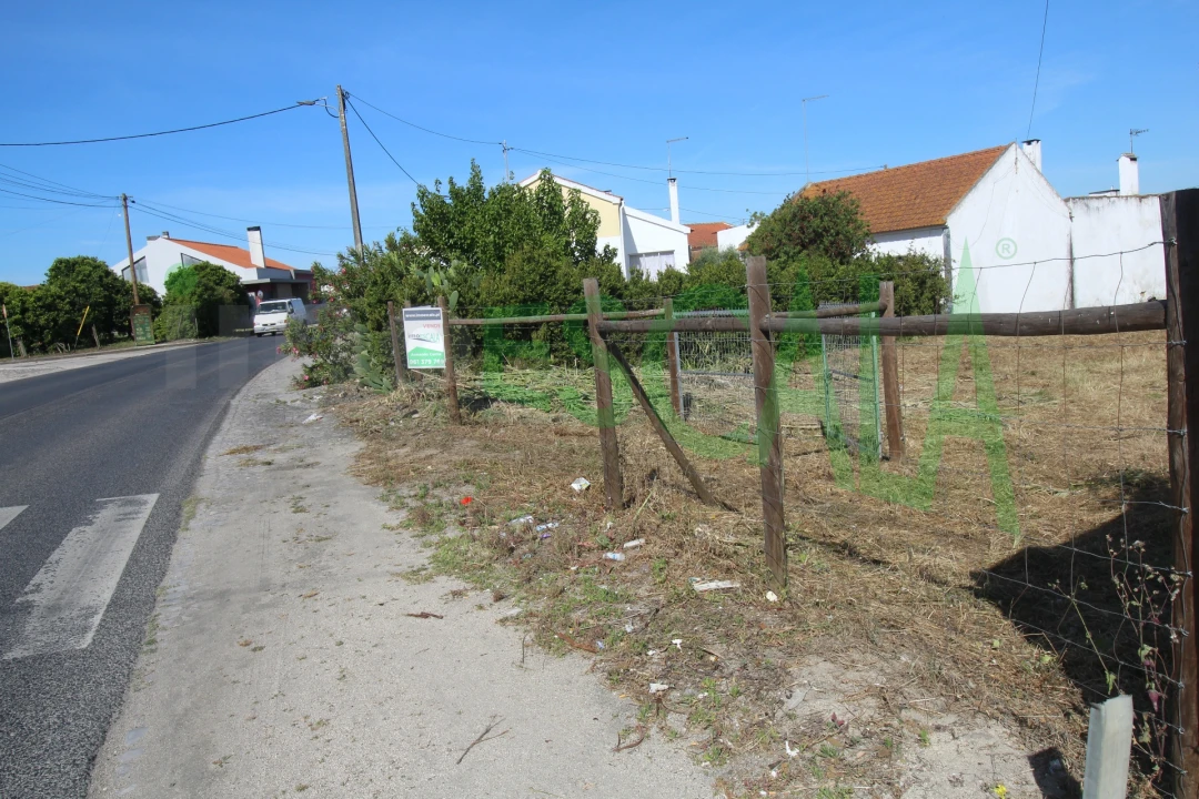 Terreno para Venda em Vila Chã de Ourique Foto 2