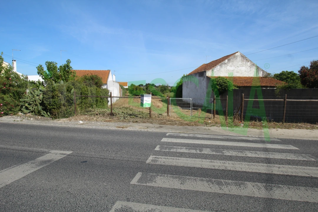 Terreno para Venda em Vila Chã de Ourique Foto 10