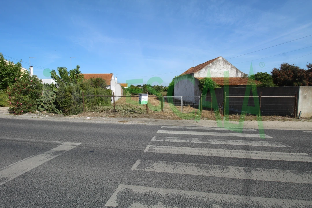 Terreno para Venda em Vila Chã de Ourique Foto 8