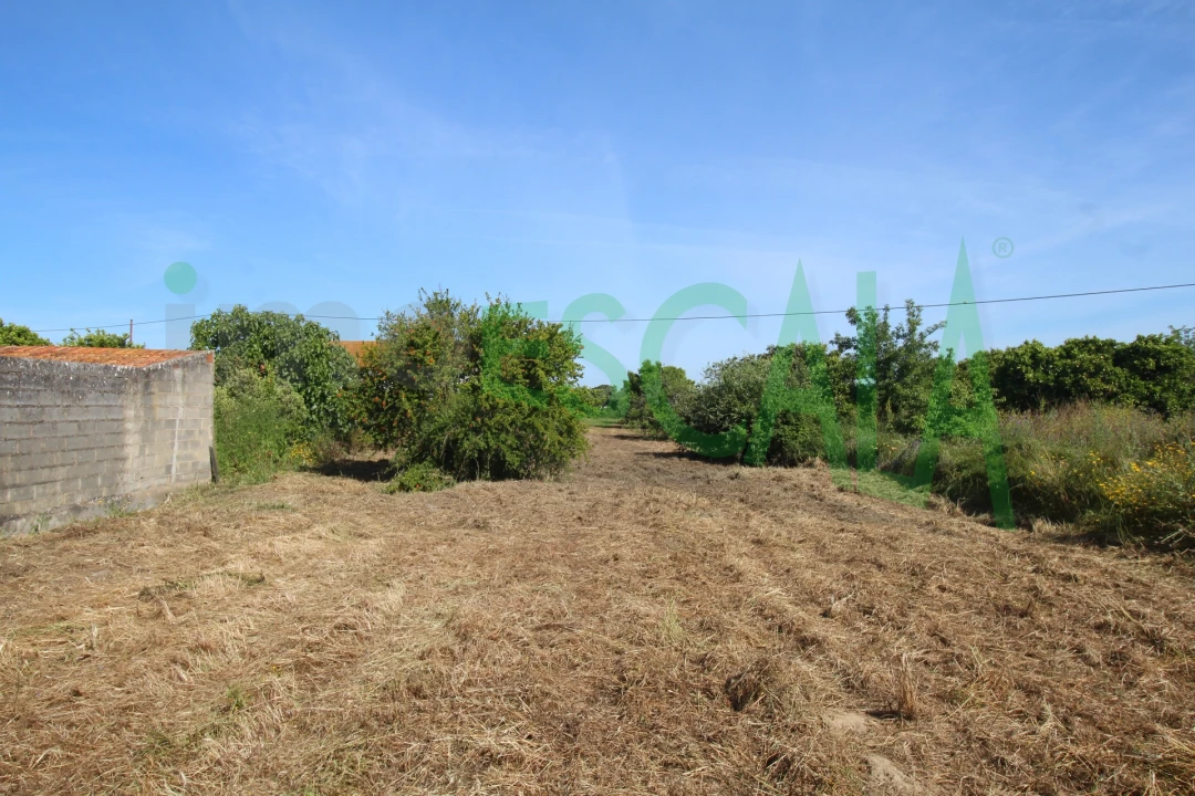 Terreno para Venda em Vila Chã de Ourique Foto 19