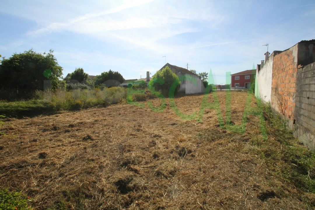 Terreno para Venda em Vila Chã de Ourique Foto 3