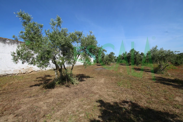 Terreno para Venda em Vila Chã de Ourique Foto 25