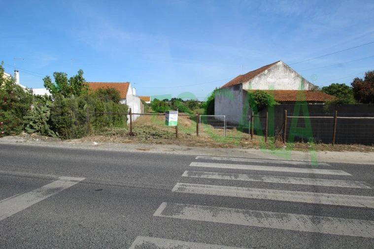 Terreno para Venda em Vila Chã de Ourique Foto 10