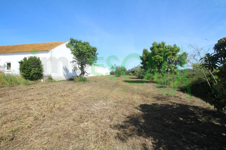 Terreno para Venda em Vila Chã de Ourique Foto 24