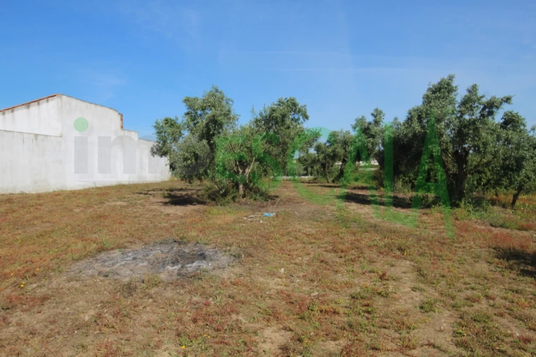 Terreno para Venda em Vila Chã de Ourique Foto 26