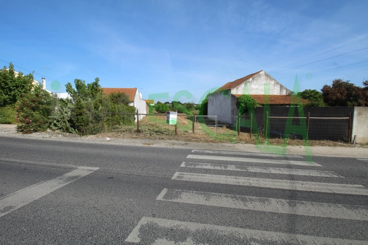 Terreno para Venda em Vila Chã de Ourique Foto 9