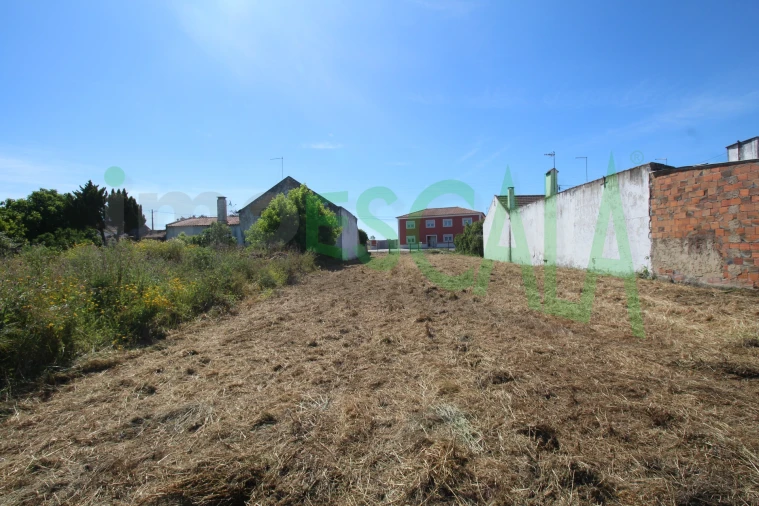 Terreno para Venda em Vila Chã de Ourique Foto 31