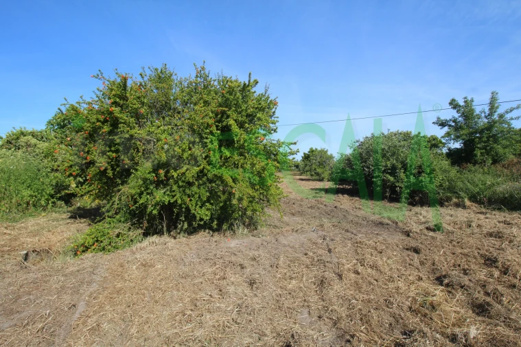 Terreno para Venda em Vila Chã de Ourique Foto 20