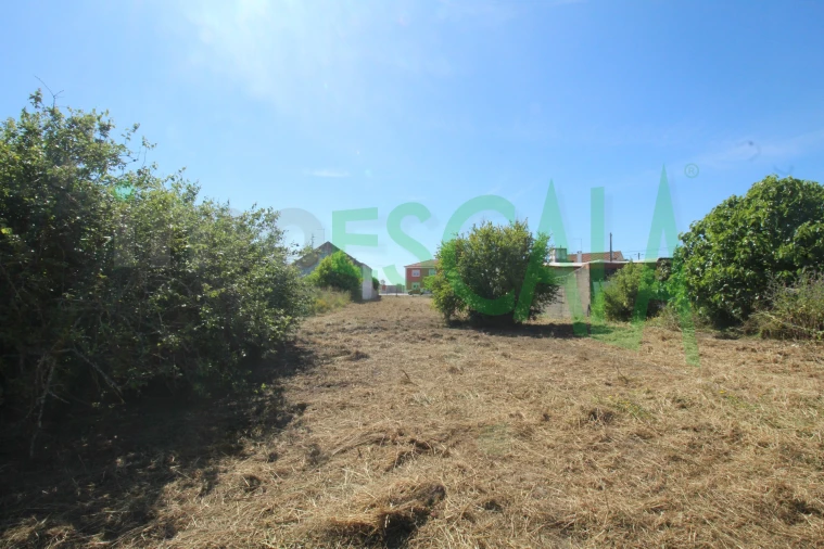 Terreno para Venda em Vila Chã de Ourique Foto 29