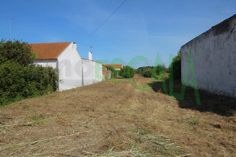 Terreno para Venda em Vila Chã de Ourique Foto 18
