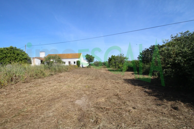Terreno para Venda em Vila Chã de Ourique Foto 23