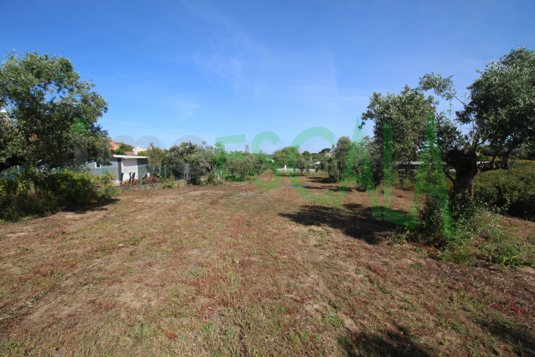Terreno para Venda em Vila Chã de Ourique Foto 27