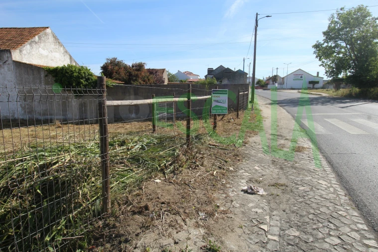 Terreno para Venda em Vila Chã de Ourique Foto 5