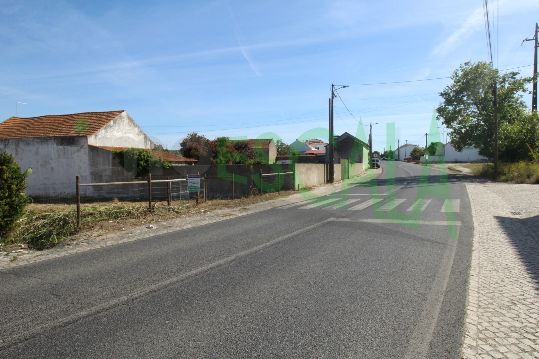 Terreno para Venda em Vila Chã de Ourique Foto 16