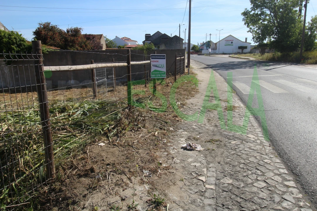 Terreno para Venda em Vila Chã de Ourique Foto 7
