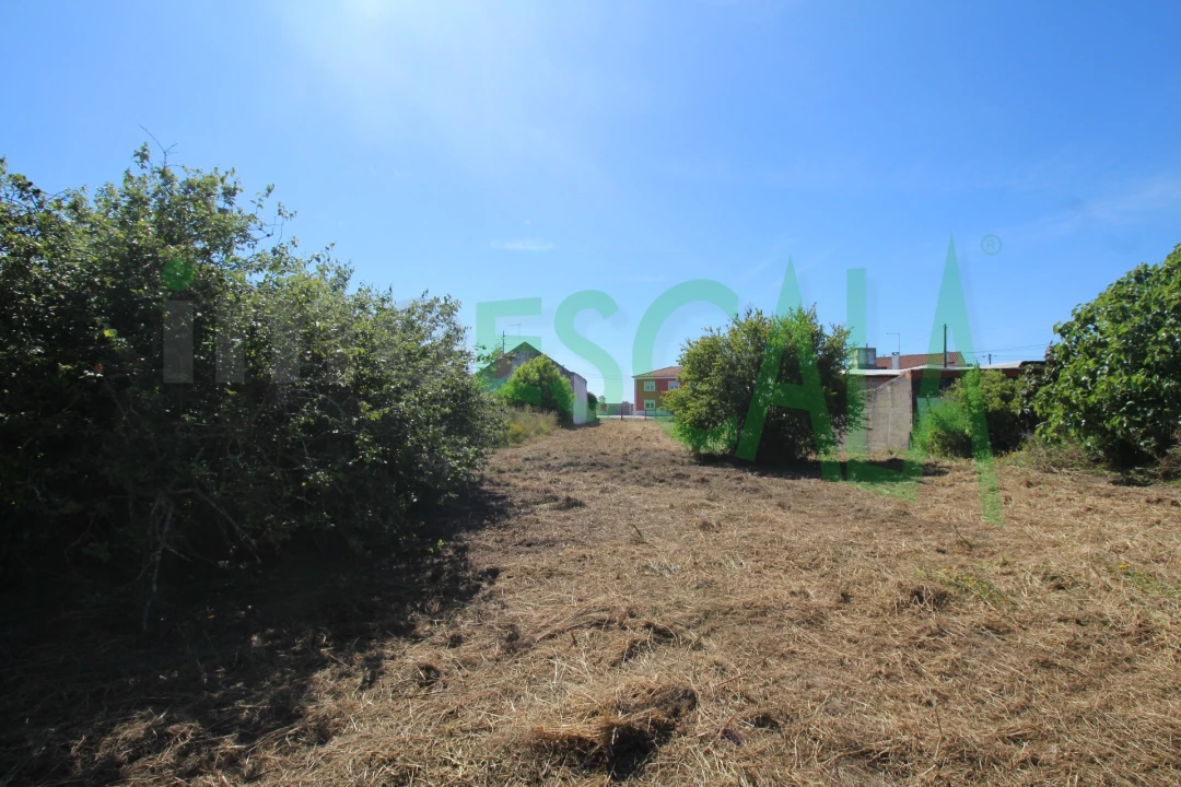 Terreno para Venda em Vila Chã de Ourique Foto 30