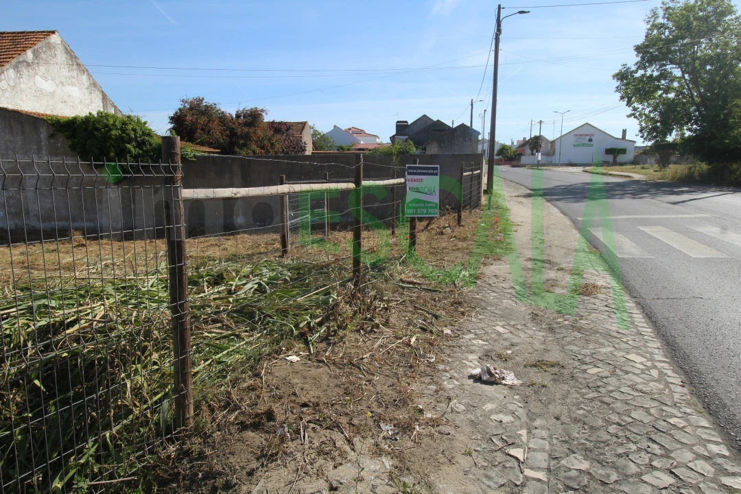 Terreno para Venda em Vila Chã de Ourique Foto 6