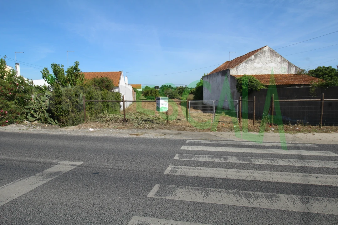 Terreno para Venda em Vila Chã de Ourique Foto 11