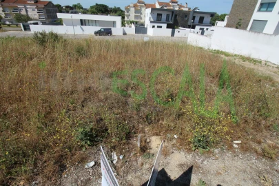 Terreno para Venda em Cartaxo e Vale da Pinta