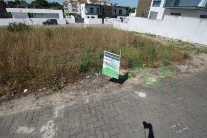 Terreno para Venda em Cartaxo e Vale da Pinta