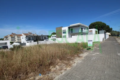 Terreno para Venda em Cartaxo e Vale da Pinta