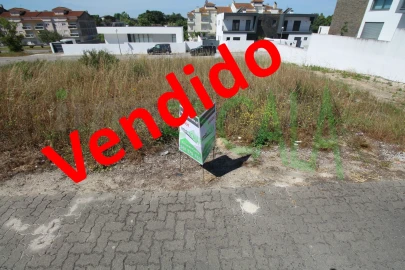 Terreno para Venda em Cartaxo e Vale da Pinta