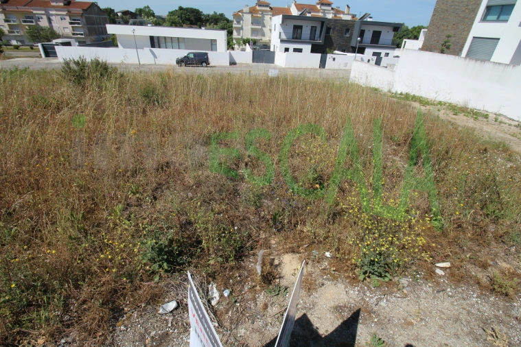 Terreno para Venda em Cartaxo e Vale da Pinta Foto 12