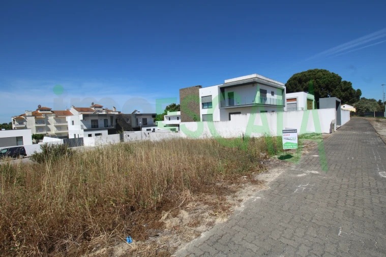 Terreno para Venda em Cartaxo e Vale da Pinta Foto 13