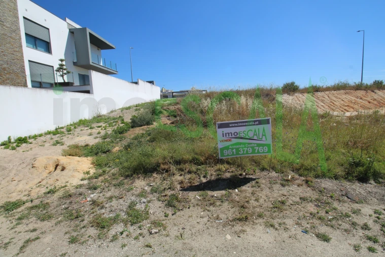 Terreno para Venda em Cartaxo e Vale da Pinta Foto 3