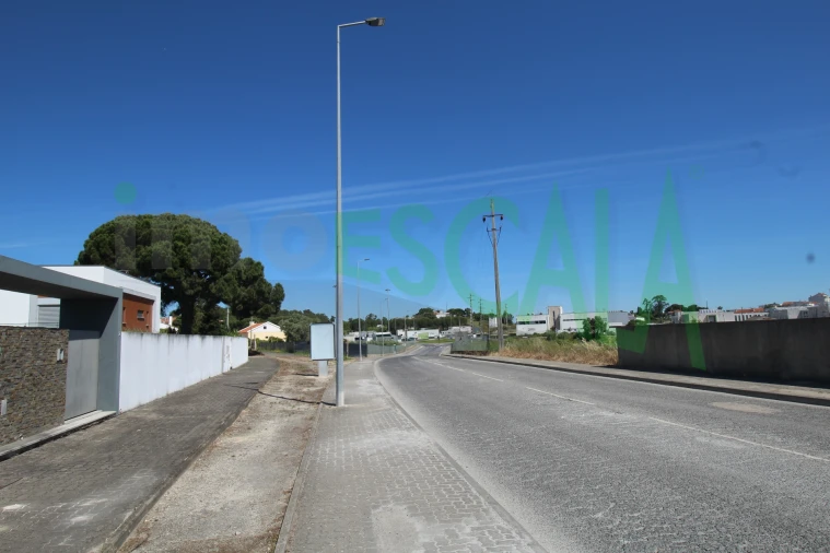 Terreno para Venda em Cartaxo e Vale da Pinta Foto 9