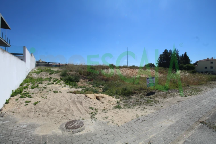 Terreno para Venda em Cartaxo e Vale da Pinta Foto 6