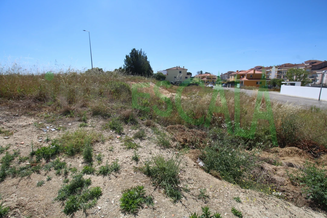 Terreno para Venda em Cartaxo e Vale da Pinta Foto 7